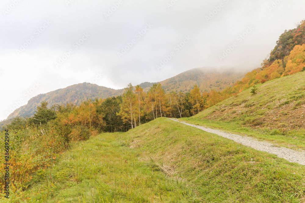 Beautiful view of Japan autumn in Obuse park ,Nagano Prefecture,Japan. Beautiful view of Japan autumn in Obuse park ,Nagano Prefecture,Japan.