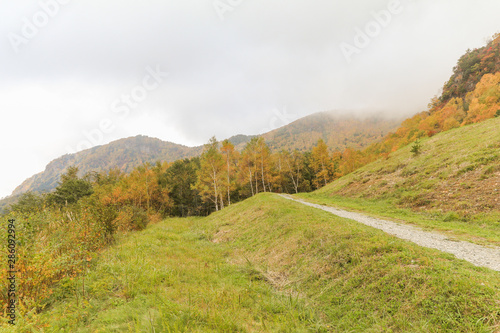 Beautiful  view of Japan autumn in Obuse park ,Nagano Prefecture,Japan. photo