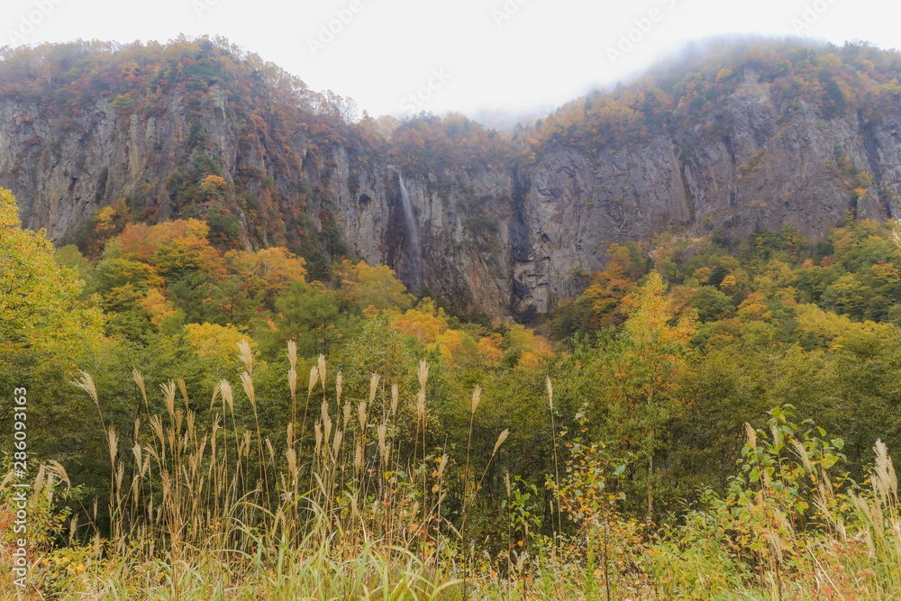 Beautiful view of Japan autumn in Obuse park ,Nagano Prefecture,Japan. Beautiful view of Japan autumn in Obuse park ,Nagano Prefecture,Japan.