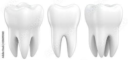 Set of dental premolar teeth 3d models as a concept of dental examination teeth, dental health and hygiene. 3d rendering illustration isolated on white background. photo