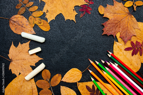 dry autumn yellow leaves, colored carnady and chalk on a black background copy space flat lay top view paint autumn colors autumn photo