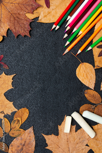 dry autumn yellow leaves, colored carnady and chalk on a black background copy space flat lay top view paint autumn colors autumn red photo