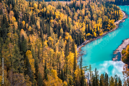 Xinjiang Kanas River autumn scenery