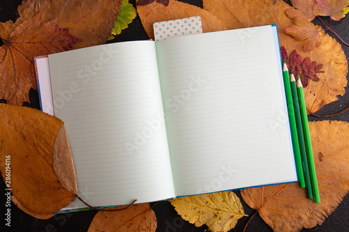 dry auturm leaves and green colored pencils on a clean sheet of notepad rope sticker raisins holiday gift list writing in a notebook black background top view place copy dry auturm leafs photo