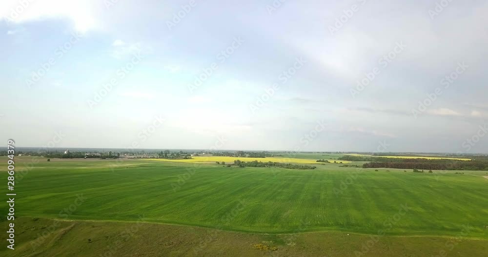 Aerial view of young green wheat field with evening sunset sky. Ripening ears wheat. Agriculture. Natural product. Agricaltural landscape. Aerial view of young green wheat field with evening sunset sky. Ripening ears wheat. Agriculture. Natural product. Agricaltural landscape.