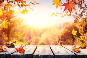 Autumn Table With Red And Yellow Leaves And Forest Background