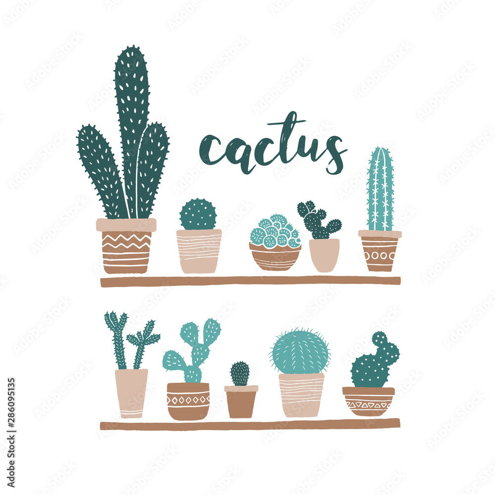 set of plants in pots set of plants in pots