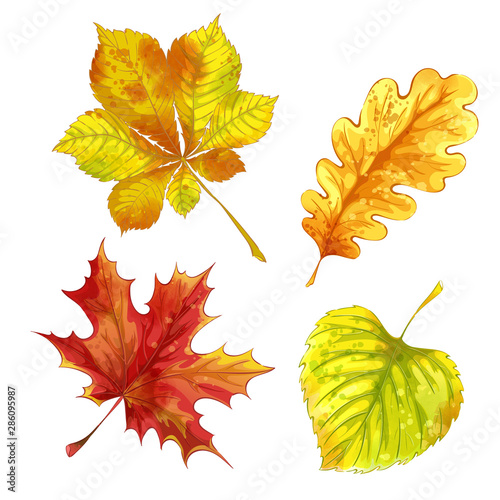 Set of autumn fallen leaves with watercolor texture. Colorful bright foliage. Vector illustration.