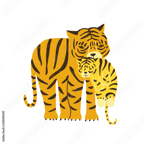 Tiger carrying its cub isolated on white background