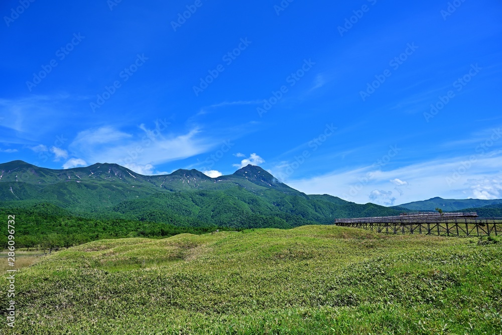Fototapeta premium 木製遊歩道から見た知床五湖の情景＠知床、北海道