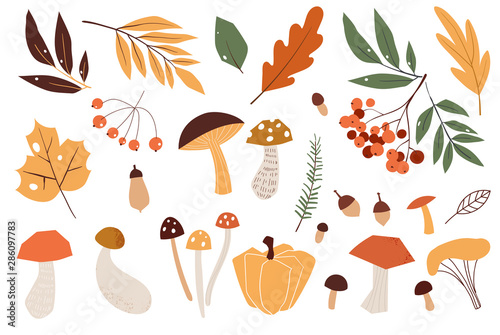 Autumn leaves. Yellow autumnal garden leaf, red fall leaf and fallen dry leaves. Botanical forest plants or september october tree foliage. Flat isolated vector symbols set. Hand drawn colorful doodle