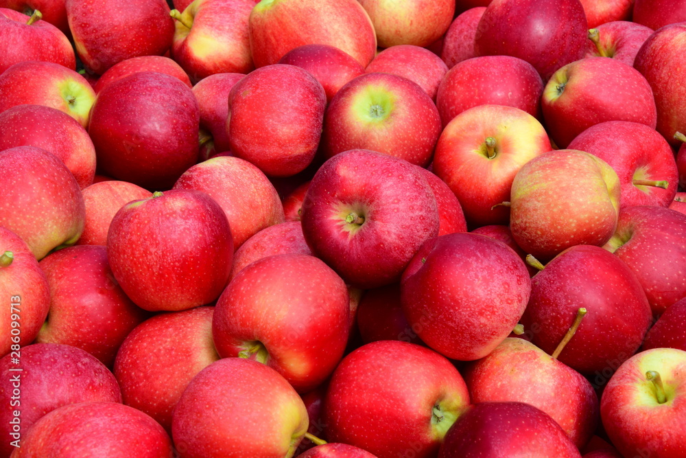 Apfel - rote Äpfel - Apfelernte - Hintergrund und Textur Stock Photo |  Adobe Stock