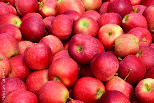 Apfel - rote Äpfel - Apfelernte - Hintergrund und Textur