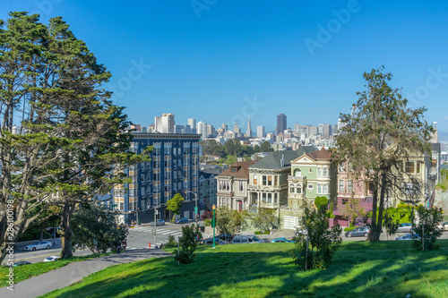 view of San Francisco cityscape from Alamo Square.