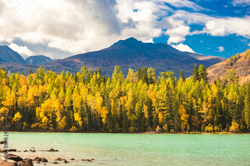 Fototapeta Naklejka Na Ścianę i Meble -  Xinjiang Kanas lake scenery