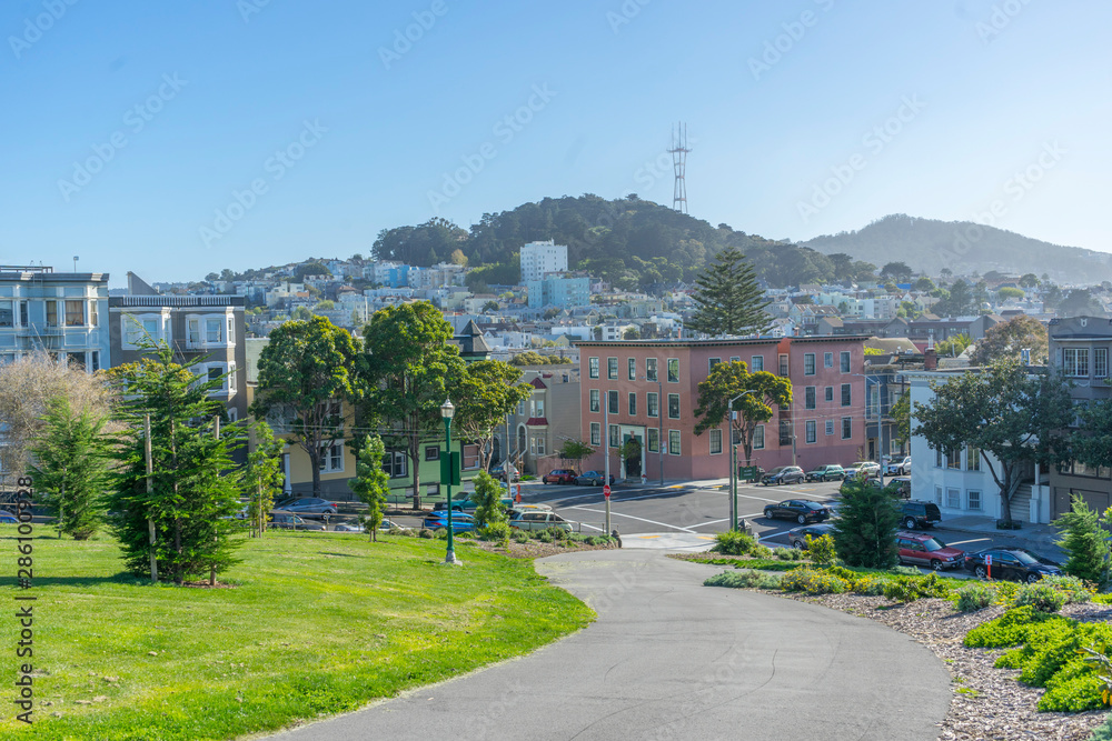 Day view of lush green tree at Alamos Square in San Francisco, CA 