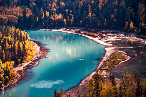 Xinjiang Kanas River autumn scenery