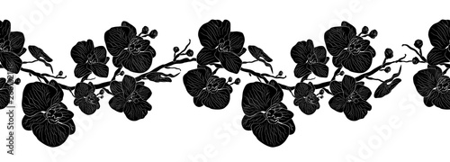 Orchid flowers. monochrome, black, white seamless background. branches and leaves isolated on white background. the Orchid is a symbol of love. tropical flower to advertise, Wallpaper