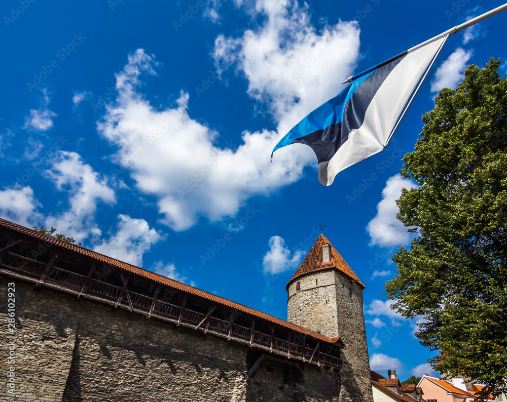 A flying Estonian national flag with the beautiful Lower Town Wall and its towers in Tallinn old town, Estonia
