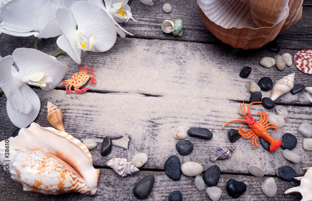 Fototapeta premium Seascape seashells sand, holiday postcard.