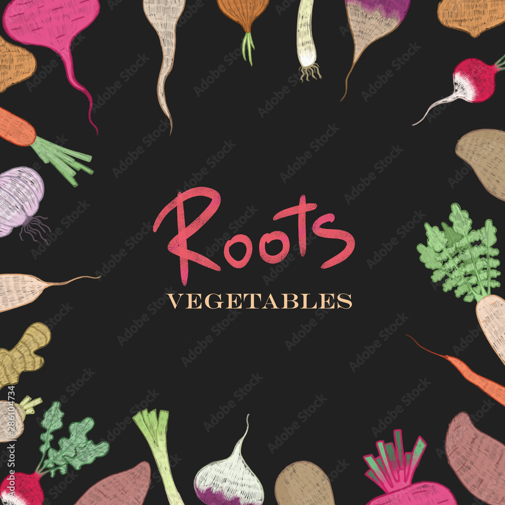 Fototapeta premium illustrations set vegetables