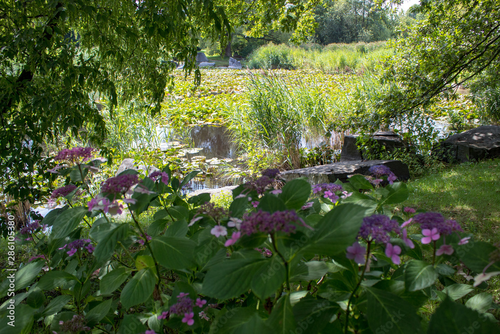 Beautiful green landscapes of the Polish botanical garden: trees, shrubs, flowers of different species on a sunny summer day, landscape design of plants and stones. Beautiful green landscapes of the Polish botanical garden: trees, shrubs, flowers of different species on a sunny summer day, landscape design of plants and stones.