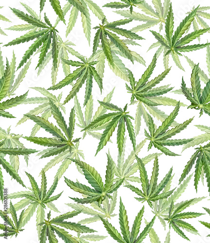 Cannabis Hand-drawn Leaves Seamless Pattern
