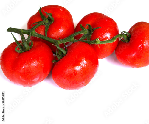 Wallpaper Mural tomatoes isolated on white background Torontodigital.ca
