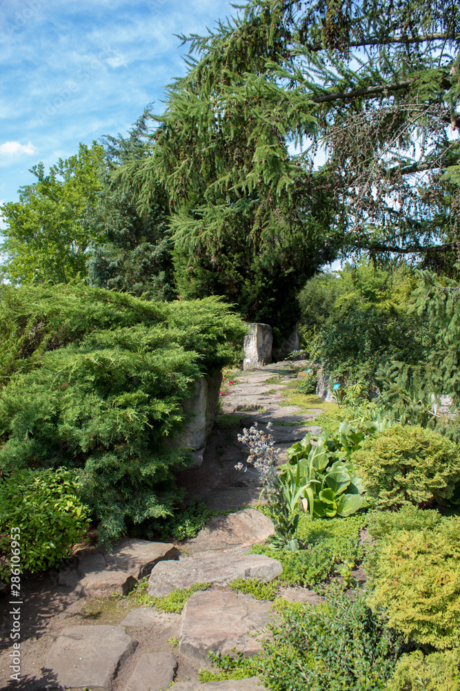 Naklejka premium Beautiful green landscapes of the Polish botanical garden: trees, shrubs, flowers of different species on a sunny summer day, landscape design of plants and stones.