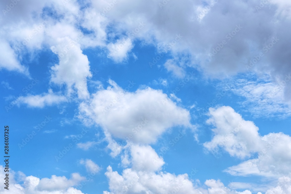 Obraz premium blue sky with white clouds