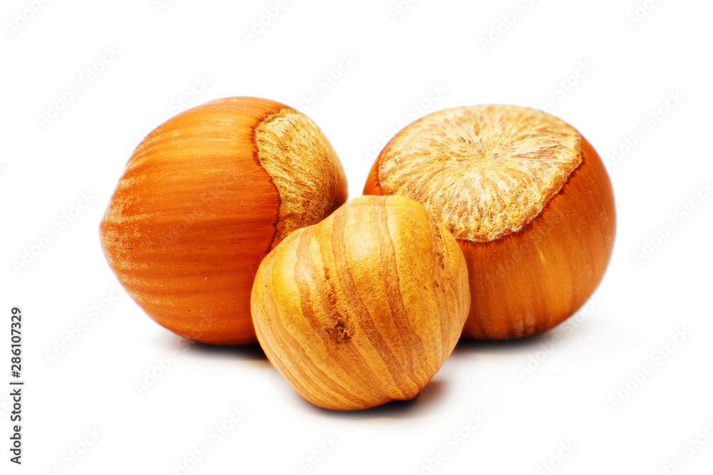 Closeup of hazelnuts isolated on white background Closeup of hazelnuts isolated on white background