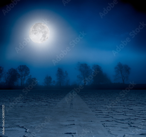 Moon over a foggy treeline and a cracked earth road.