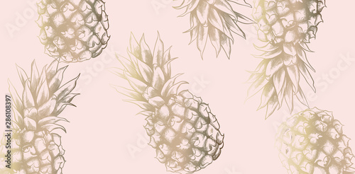 Tropic vintage pattern with pineapple Vector. Retro shiny design textures