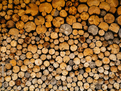 A large number of chopped wood. Wood harvesting for the winter