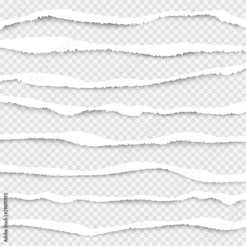 Ripped paper. Cut edges of white paper vector ripped lines realistic texture collection. Ripped edge horizontal, graphic scrap, strip damage illustration