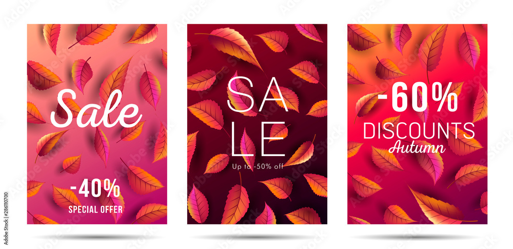 Set of Autumn Sale Posters with falling leaves texture backdrop, shopping sale or promo posters or leaflet templates