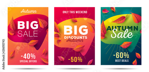 Set of bright posters fer Big autumn sale with fluid speach buuble shape and falling autumn leaves