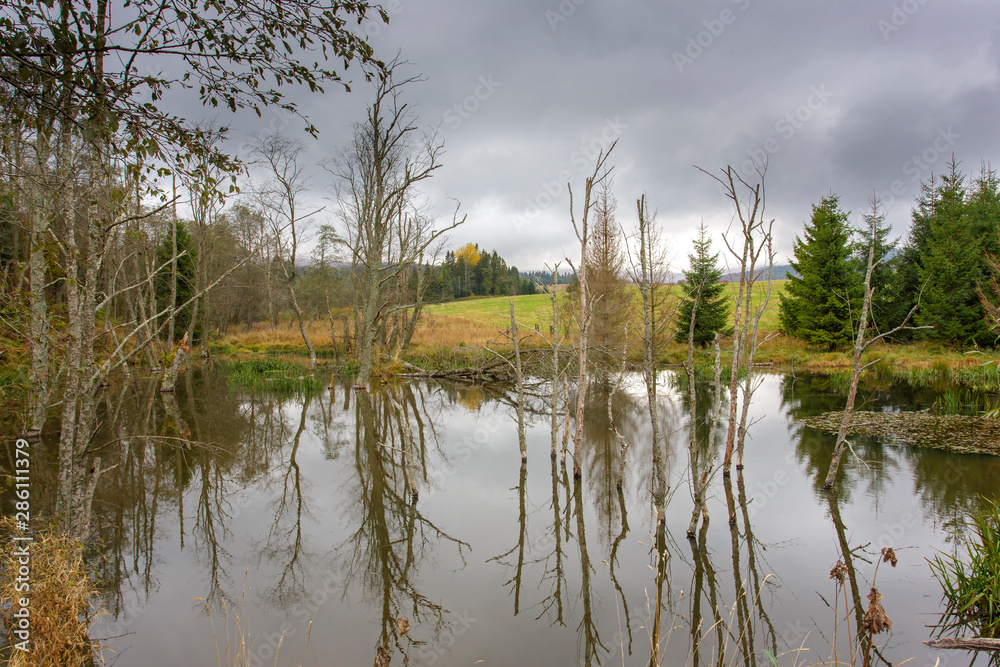 Obraz premium Bieszczady - Carpathians Mountains