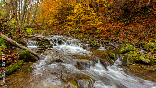 Fototapeta Naklejka Na Ścianę i Meble -  Bieszczady - Carpathians Mountains