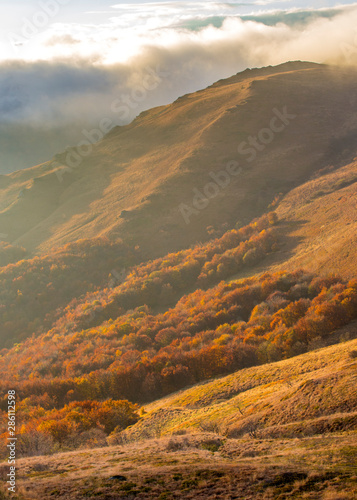 Fototapeta Naklejka Na Ścianę i Meble -  Bieszczady