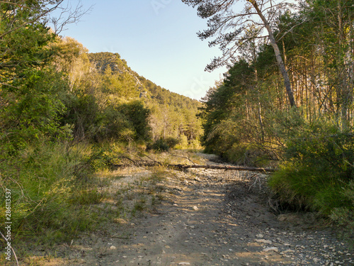 Lit du torent Le Jabron, Alpes-de-Haute-Provence, France photo