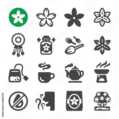 jasmine flower icon set,vector and illustration