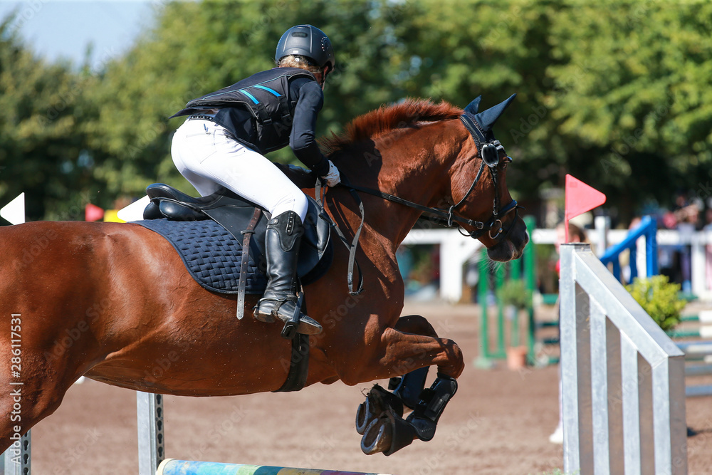 Horse (pony) with rider in the jumping tournament, while jumping over the obstacle.. Horse (pony) with rider in the jumping tournament, while jumping over the obstacle..
