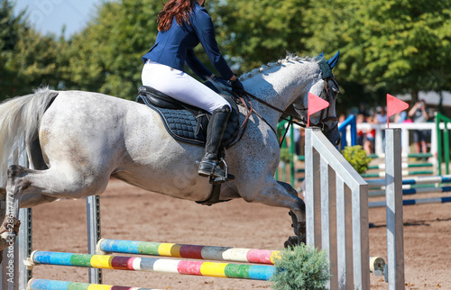Horse (pony) with rider in the jumping tournament, while jumping over the obstacle..