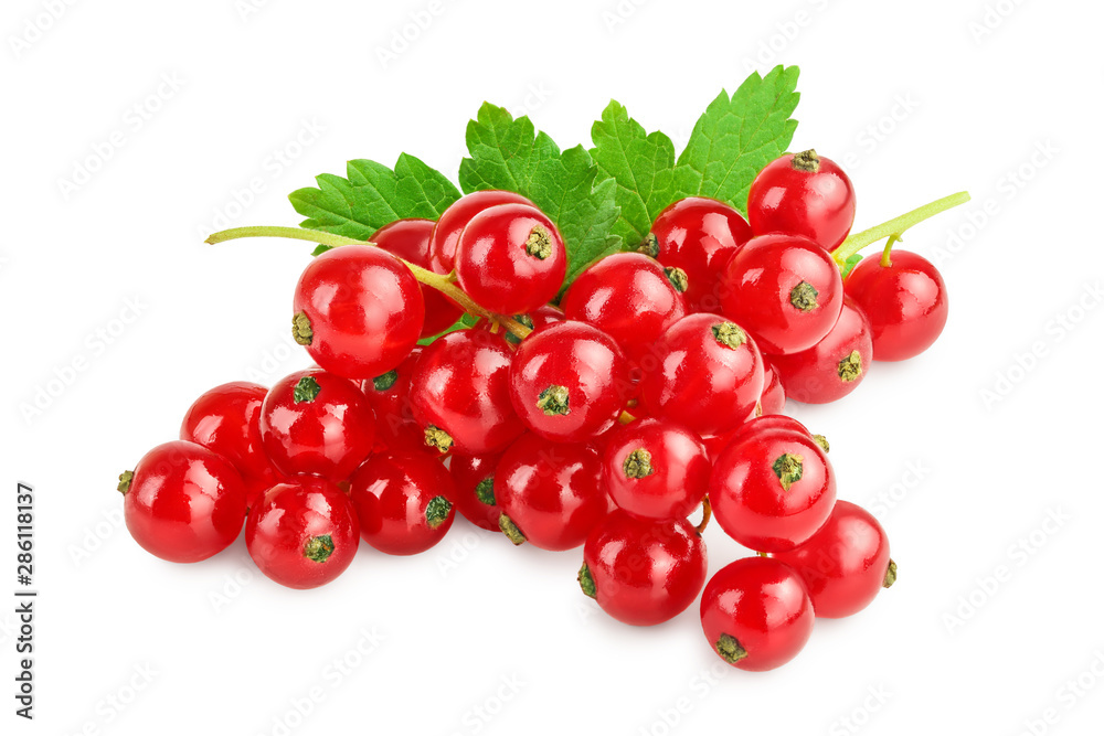 Red currant berries with leaf isolated on white background Red currant berries with leaf isolated on white background
