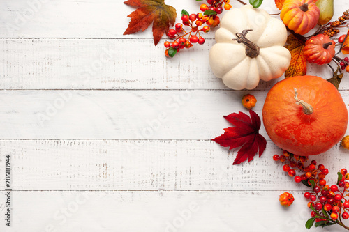 Festive autumn decor from pumpkins, berries and leaves on a white wooden background. Concept of Thanksgiving day or Halloween. Flat lay autumn composition with copy space.
