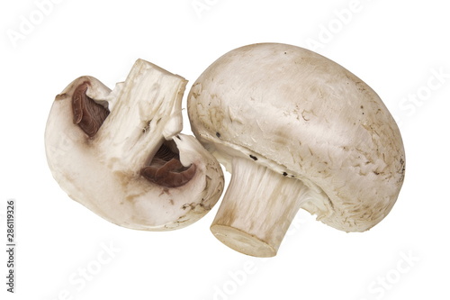 Champignons mushrooms isolated on white background