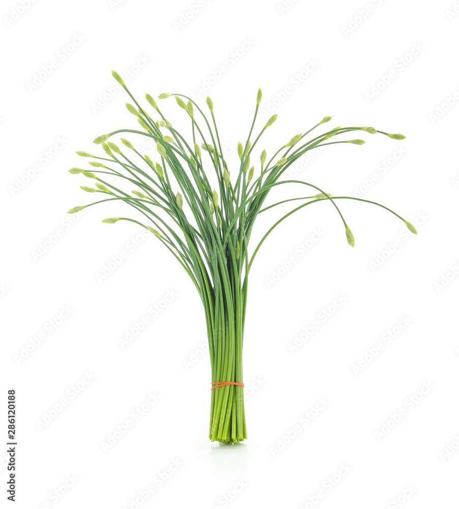 Green spring onion isolated on white background Green spring onion isolated on white background