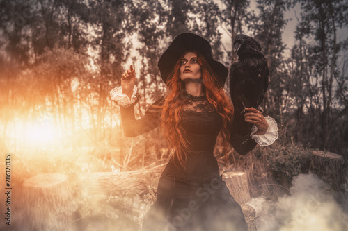 devil witch with raven