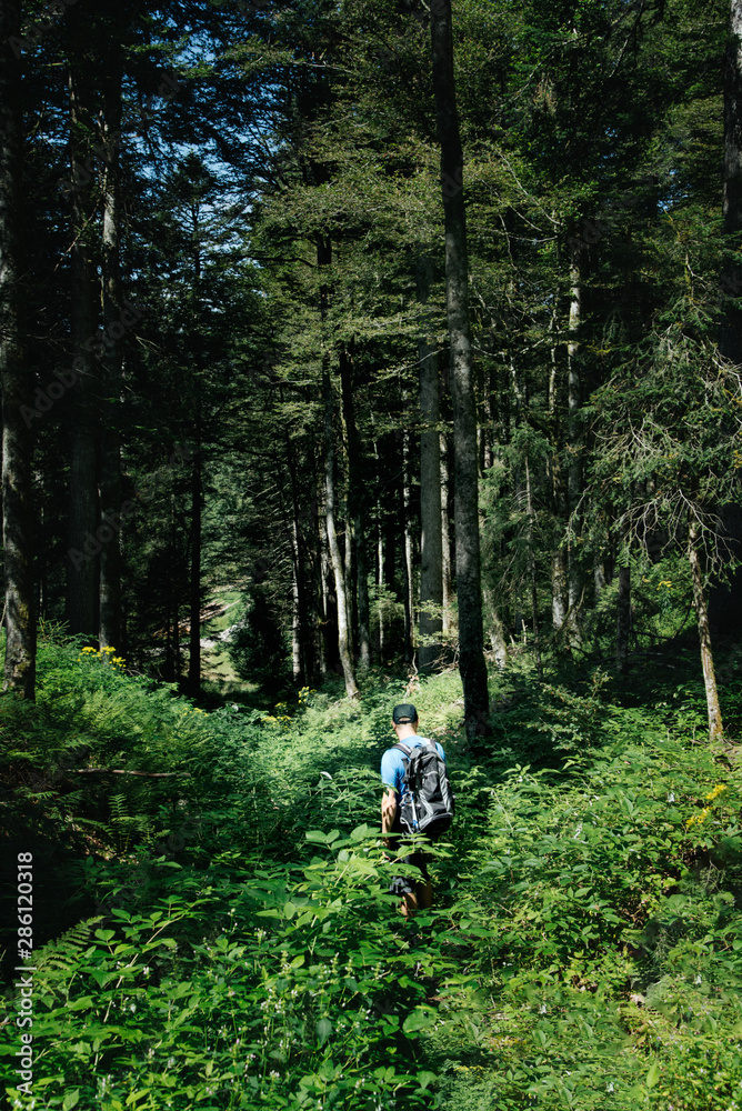 Obraz premium Hiker With A Backpack Standing In A Forest
